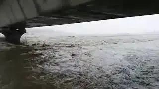 Flood Situation😞, Dibang River Bridge, Arunachal Pradesh 🇮🇳