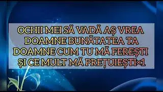 NEGATIV - SCHIMBA- MI DOAMNE INIMA - corina moldovan