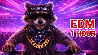 🦝 Running EDM Workout Mix 1 Hour+ | Bass House & Tech House 