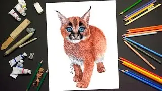 Рисунок котенка каракала, выполненный цветными карандашами.
