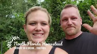Welcome to Our Homestead!!!