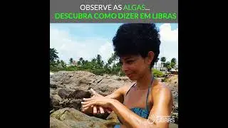 Como Dizer 'Algas' em Libras? Descubra Este Sinal Surpreendente! - Raquel Barreto