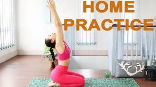 Yoga For Beginner  -  Full Body Stretch Ep135