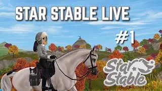 SSO Training live (without commentary)