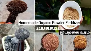 சமையலறை கழிவுகளிலிருந்து உரம் தயாரிப்பது எப்படி | Make compost from kitchen waste | zero Investment