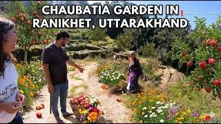 Chaubatiya Garden Ranikhet: Beautiful Orchard Trails & Valley Views