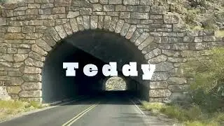 Henry Nielsen - Teddy