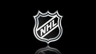 NHL Top 15 Defenseman Powerplay Goals 2012-13 Season