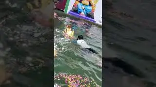 ganpati visarjan at cyprus garden || mulund west || only mulundkar #mulund #ganpati #shorts #viral