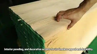 Red Oak Veneer - High Quality Real Wood Veneer Products - Tongli