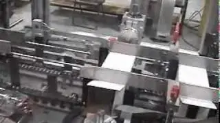 Intermittent Motion Auto Load Cartoner---Switchback Group
