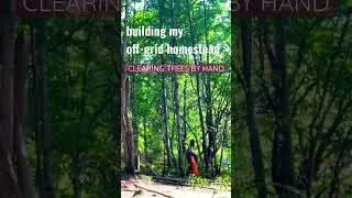 Расчищаю нетронутую землю для своего дома