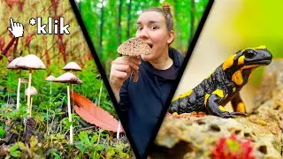 Hub&aacute;ri traste sa ! | VLOG | CBKreker