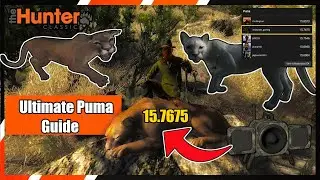 I'm One Step Away From Becoming the #1 Puma Hunter in theHunter Classic!