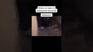 Мем Очень смешно и страшно | #shorts  #приколы  #memes  #shortmeme