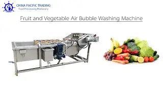 Air Bubble Washing Machine|Vegetable Washing Machine|Fruit Washing Machine|Tomato Washing Machine