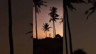 ✨ Charming Goa ✨ #travel #beautifulnature #goa #shorts #relax
