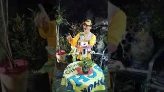 Cinta kristal