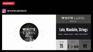 Lute, Mandolin, Strings |UNTAGGED|INSTRUMENTAL|FREE FOR PROFIT|FREESTYLE|RAP|TRAP|HIPHOP|BEAT| 2023