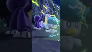 A day in the life of a Pokemon Master (in training)