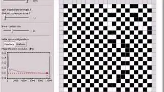 The 2D Ising Model Monte Carlo Simulation Using the Metropolis Algorithm
