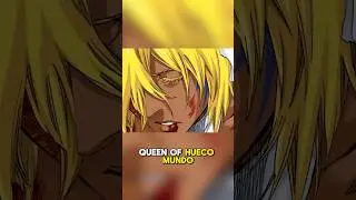 She Deserved BETTER! Harribel&rsquo;s Tragic Fate in BLEACH
