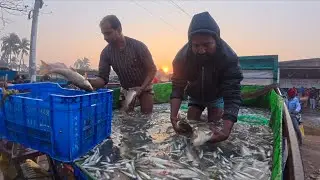Exploring Traditional Fishing Techniques Around the World 🇺🇲 