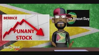 BERBICE BRIDGE TOLL INCREASE | MUDWATA