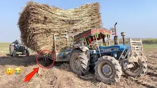 Sugarcane Trolley Fully Stuck in Mud Ford 4610 4x4 | MF 385 | Ford 4600 Trying to Pull out