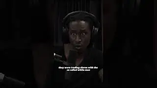 THERE WERE BLACK SLAVE OWNERS?