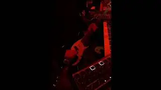 Picked P-Bass with Flatwound Strings in the Synth Loop Mix