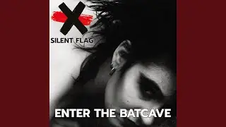 Enter The Batcave