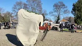 Странджанска китка - Катя Георгиева 