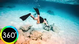 360&deg; VR Snorkeling in Red Sea Orange Bay Coral Reef Hurghada Egypt Trip 6K 3D Virtual Reality HD 4K