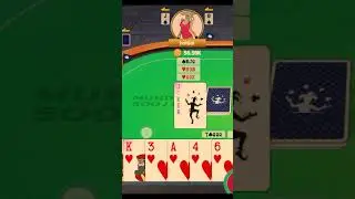 #mirrage #playingcards #trick #gameplay #gaming #mirrage