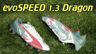 Puma evoSPEED 1.3 Graphic 