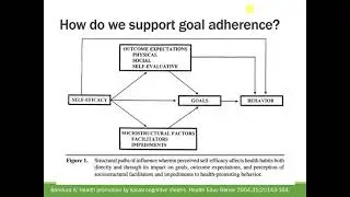Problem Solving Therapy: Steps 4-5
