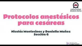 Protocolos anest&eacute;sicos en ces&aacute;reas de caninos y felinos