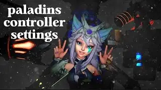 my paladins controller settings