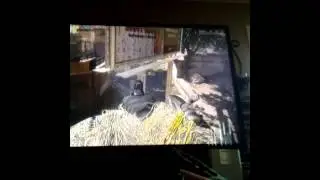 Glitches on containment