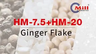 Mill Powder Tech｜Hammer Mill - Ginger Flake  HM-7.5+HM-20