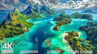 Deep Relaxing Music 🌿 Stop Overthinking, Stress Relief & Calming Sleep Music
