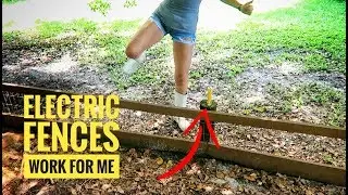 How to deal with PREDATORS!