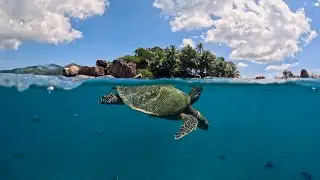 PRASLIN, la segunda MEJOR isla de las SEYCHELLES!