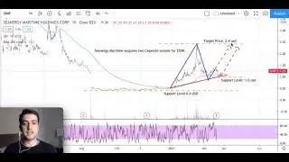 Seanergy Maritime Stock Analyse, Castor Maritime stock forecast, SHIP Stock & CTRM Stock Comparison