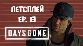 План Шиззо🎃| DAYS GONE эпизод 13
