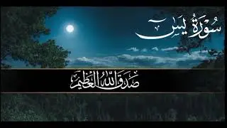 Listen to Surah Yaseen and Feel the Power of Faith