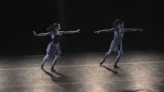 Eryc Taylor Dance at Joyce SoHo, November 2010