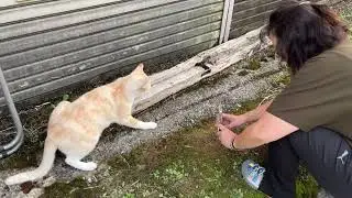ラムネ温泉館  大分県竹田市
