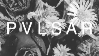 PVLSR - Hold Me (Demo)